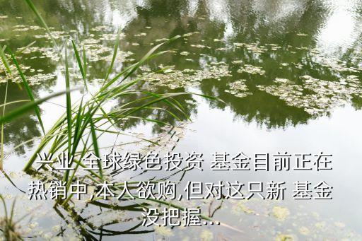  興業(yè) 全球綠色投資 基金目前正在熱銷中,本人欲購(gòu),但對(duì)這只新 基金沒(méi)把握...