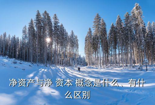 凈資產(chǎn)與凈 資本 概念是什么、有什么區(qū)別