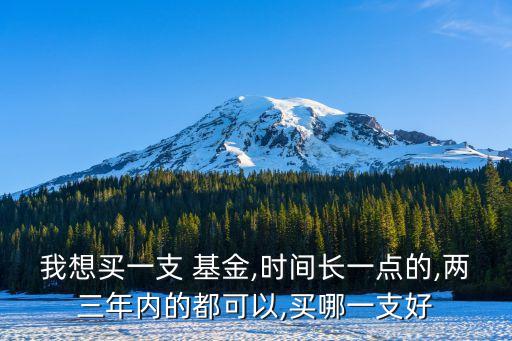 我想買一支 基金,時間長一點(diǎn)的,兩三年內(nèi)的都可以,買哪一支好