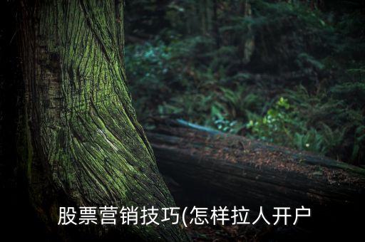  股票營(yíng)銷(xiāo)技巧(怎樣拉人開(kāi)戶(hù)