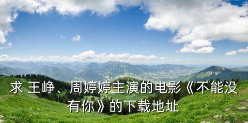 求 王崢、周婷婷主演的電影《不能沒有你》的下載地址