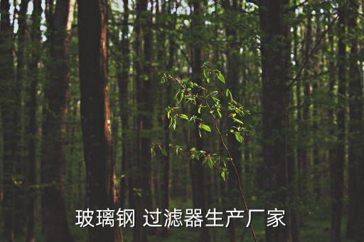 玻璃鋼 過濾器生產廠家