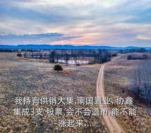 我持有供銷大集,南國(guó)置業(yè), 協(xié)鑫 集成3支 股票,會(huì)不會(huì)退市,能不能漲起來(lái)...