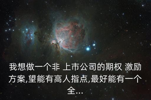 我想做一個非 上市公司的期權 激勵方案,望能有高人指點,最好能有一個全...