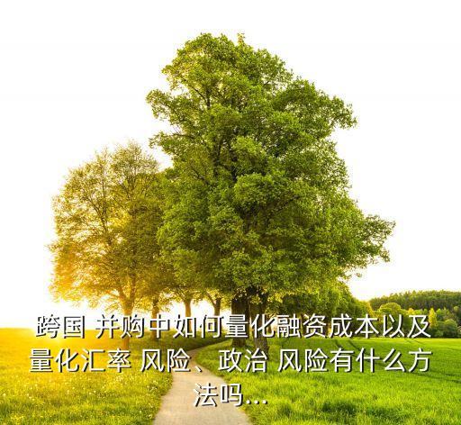  跨國 并購中如何量化融資成本以及量化匯率 風(fēng)險(xiǎn)、政治 風(fēng)險(xiǎn)有什么方法嗎...