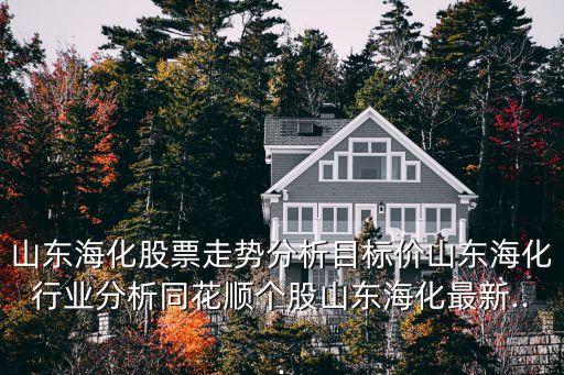 山東?；善弊邉莘治瞿繕藘r山東?；袠I(yè)分析同花順個股山東海化最新...