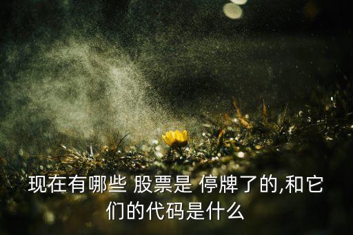 現在有哪些 股票是 停牌了的,和它們的代碼是什么