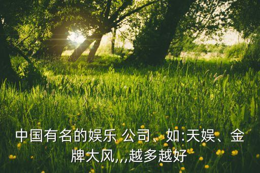 中國(guó)有名的娛樂 公司、如:天娛、金牌大風(fēng),,,越多越好