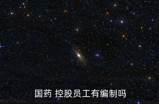  國(guó)藥 控股員工有編制嗎