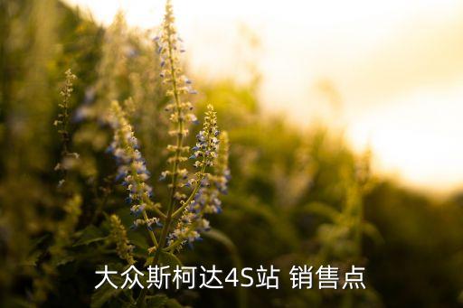 大眾斯柯達4S站 銷售點
