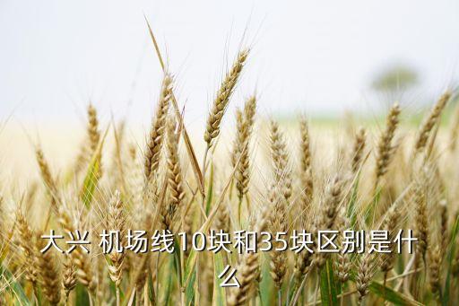大興 機(jī)場線10塊和35塊區(qū)別是什么
