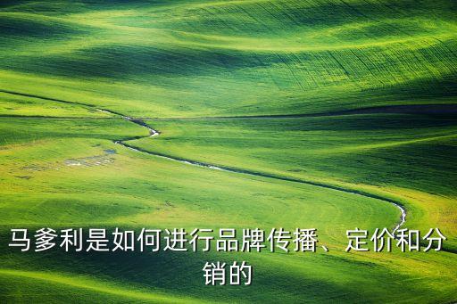 馬爹利是如何進(jìn)行品牌傳播、定價(jià)和分銷(xiāo)的