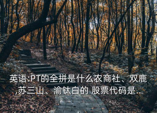 英語:PT的全拼是什么農(nóng)商社、雙鹿,蘇三山、渝鈦白的 股票代碼是...