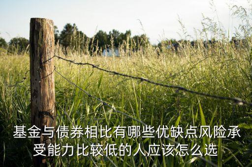  基金與債券相比有哪些優(yōu)缺點風險承受能力比較低的人應(yīng)該怎么選