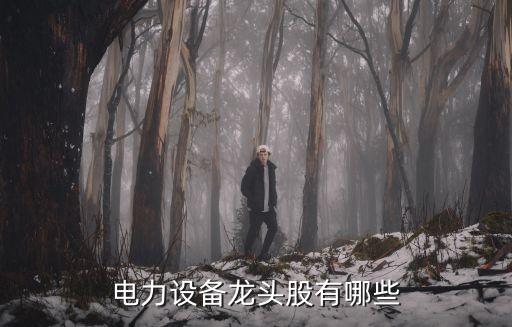 水電類(lèi)股票,華能水電股票