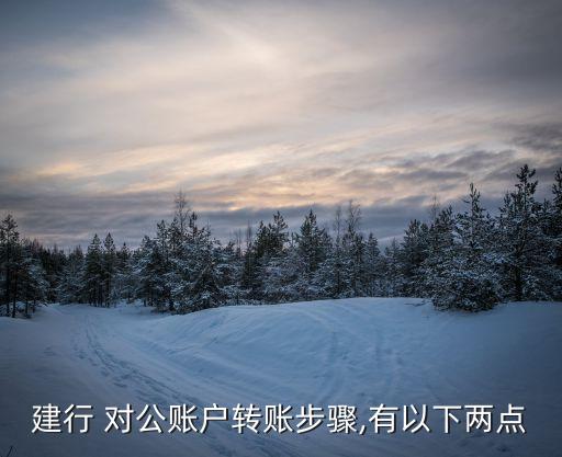 建設(shè)銀行對(duì)公業(yè)務(wù)操作,首次登陸建設(shè)銀行對(duì)公賬戶(hù)怎么操作