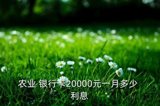 銀行卡里存2萬(wàn)塊錢(qián)有多少利息