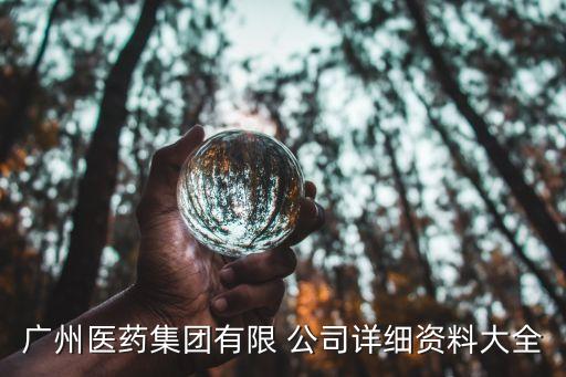 廣州醫(yī)藥集團有限 公司詳細(xì)資料大全