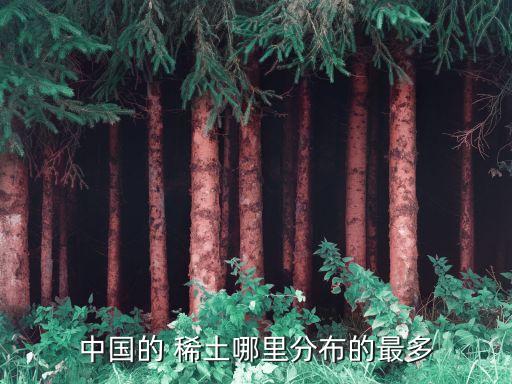 稀土出產中國那個地方,藏紅花那個地方出產最好