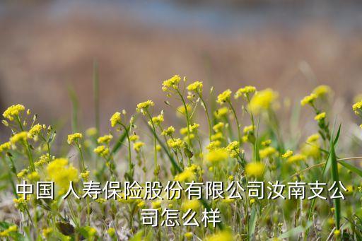 中國(guó)人壽駐馬店一把手,駐馬店中國(guó)人壽財(cái)險(xiǎn)公司地址