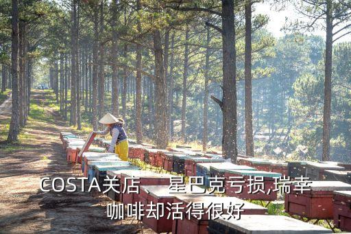 COSTA關(guān)店、 星巴克虧損,瑞幸咖啡卻活得很好