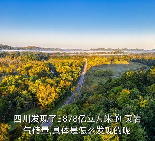 四川發(fā)現(xiàn)了3878億立方米的 頁巖氣儲(chǔ)量,具體是怎么發(fā)現(xiàn)的呢