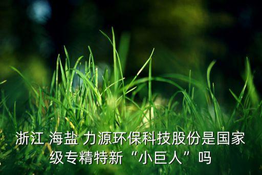 浙江 海鹽 力源環(huán)?？萍脊煞菔菄?guó)家級(jí)專(zhuān)精特新“小巨人”嗎