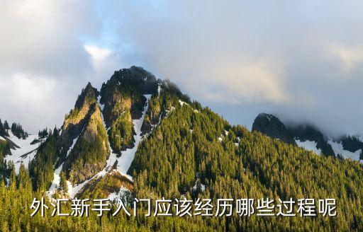  外匯新手入門應(yīng)該經(jīng)歷哪些過(guò)程呢