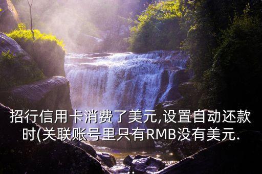 招行信用卡消費(fèi)了美元,設(shè)置自動(dòng)還款時(shí)(關(guān)聯(lián)賬號里只有RMB沒有美元...