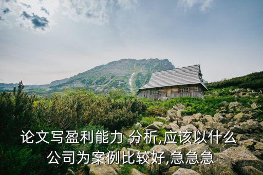 初學(xué)者財(cái)務(wù)分析分析什么公司,銀行財(cái)務(wù)分析主要分析什么問(wèn)題