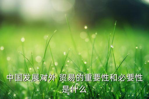中國發(fā)展對外 貿易的重要性和必要性是什么