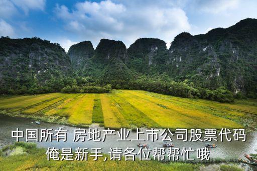 中國(guó)所有 房地產(chǎn)業(yè)上市公司股票代碼俺是新手,請(qǐng)各位幫幫忙哦