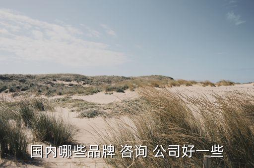 國內哪些品牌 咨詢 公司好一些