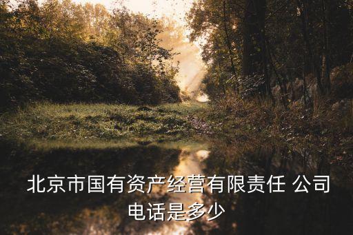  北京市國有資產經營有限責任 公司電話是多少