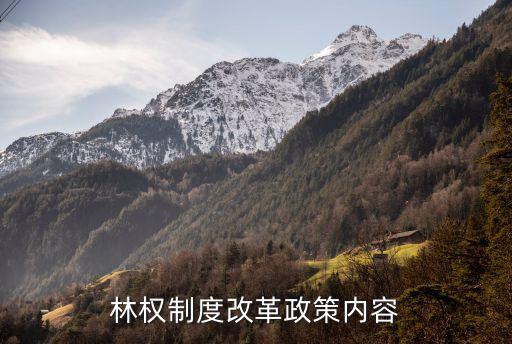 林權制度改革政策內容