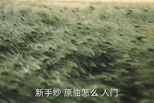 投資原油入門(mén),個(gè)人怎么投資原油