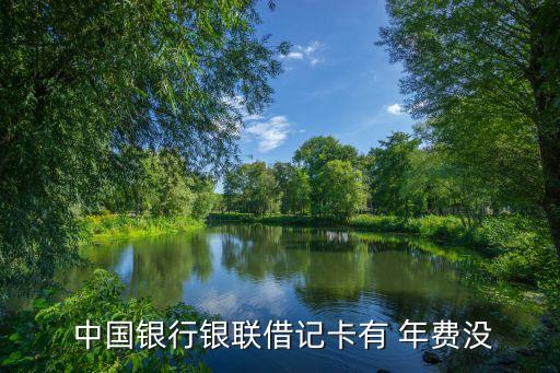  中國銀行銀聯借記卡有 年費沒