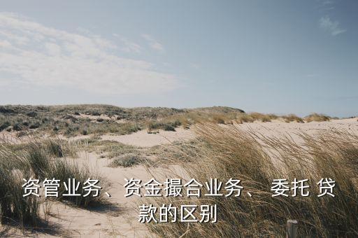 資管業(yè)務(wù)、資金撮合業(yè)務(wù)、 委托 貸款的區(qū)別