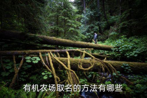有機(jī)農(nóng)場取名的方法有哪些