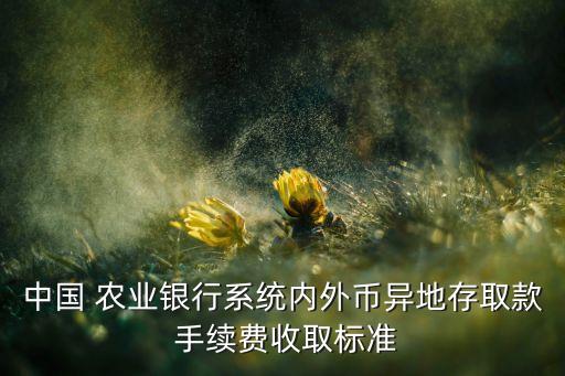農(nóng)業(yè)銀行國際匯款手續(xù)費(fèi)