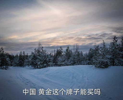 中國(guó) 黃金這個(gè)牌子能買(mǎi)嗎