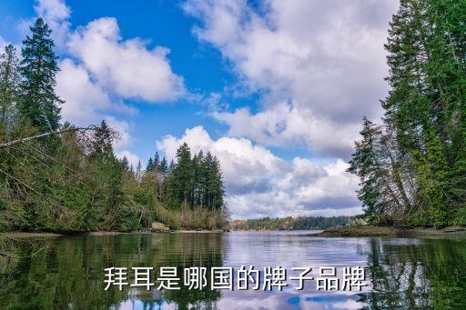 拜耳公司資產,大連拜耳公司怎么樣