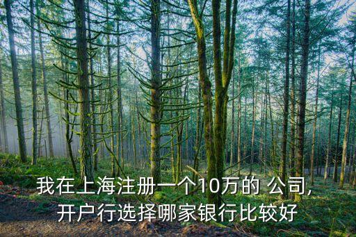 我在上海注冊(cè)一個(gè)10萬(wàn)的 公司, 開戶行選擇哪家銀行比較好