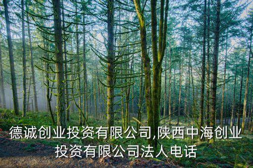陜西德誠(chéng)創(chuàng)業(yè)投資有限公司,陜西中海創(chuàng)業(yè)投資有限公司法人電話(huà)