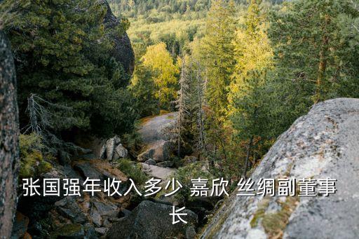 張國(guó)強(qiáng)年收入多少 嘉欣 絲綢副董事長(zhǎng)
