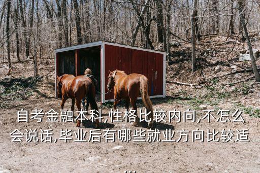 自考金融本科,性格比較內(nèi)向,不怎么會(huì)說(shuō)話,畢業(yè)后有哪些就業(yè)方向比較適...