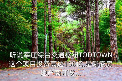 聽(tīng)說(shuō)莘莊綜合交通樞紐TODTOWN這個(gè)項(xiàng)目投資高達(dá)150億,是哪家房地產(chǎn)商開(kāi)發(fā)...
