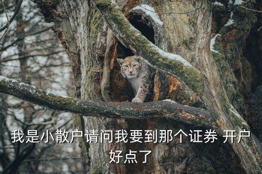 我是小散戶請(qǐng)問(wèn)我要到那個(gè)證券 開(kāi)戶好點(diǎn)了