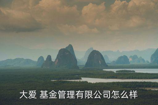 大愛(ài) 基金管理有限公司怎么樣
