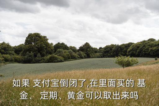 如果 支付寶倒閉了,在里面買的 基金、 定期、黃金可以取出來嗎